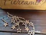 [Laser cut and engrave] Addobbi a forma di stella con impronta di zampa