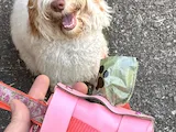 [Laser cut and engrave] Dog waste/poo bags leather holder