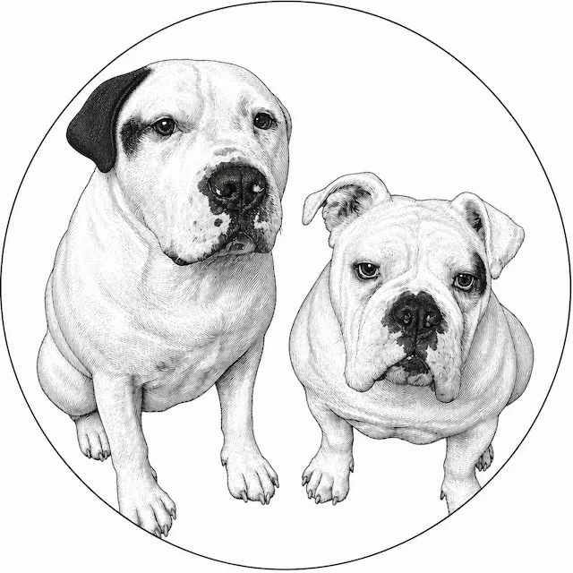Zwei Hunde im Kreis