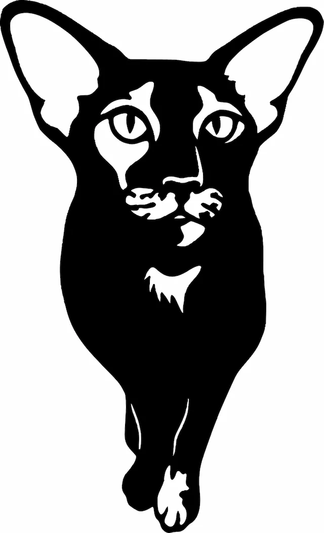 Schwarze Silhouette