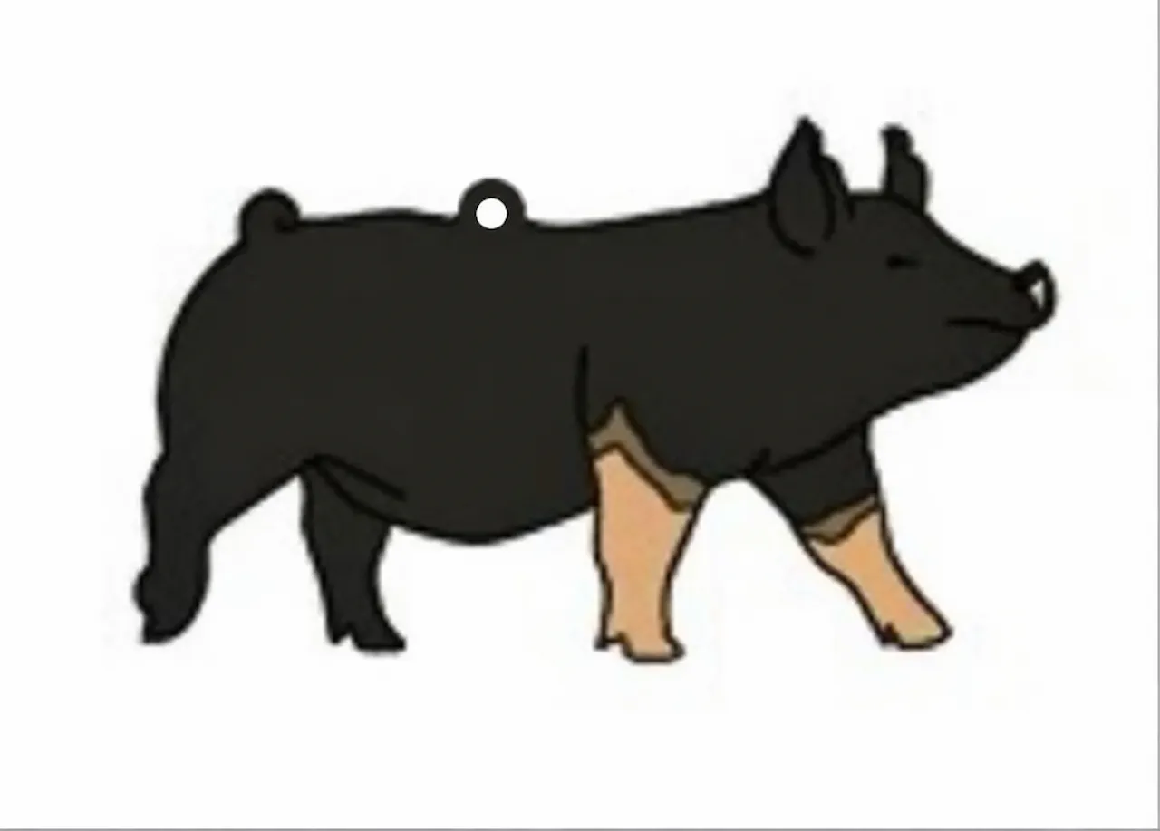 Laser cut and engrave Pig Pendant Outline
