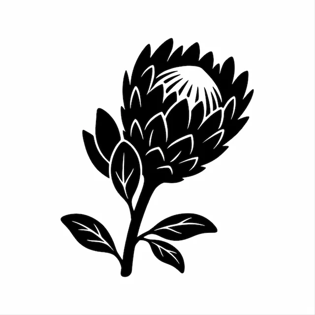 Protea Flower