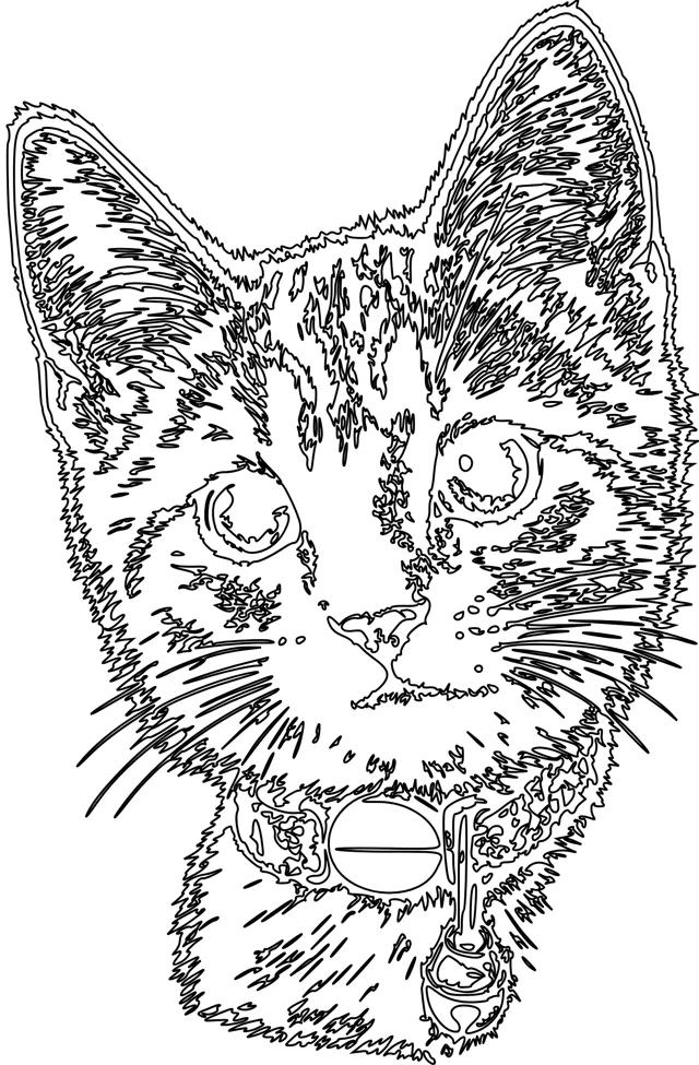 Engraved Cat Portrait