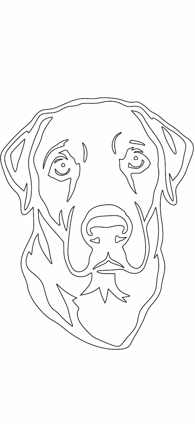Rostro de perro