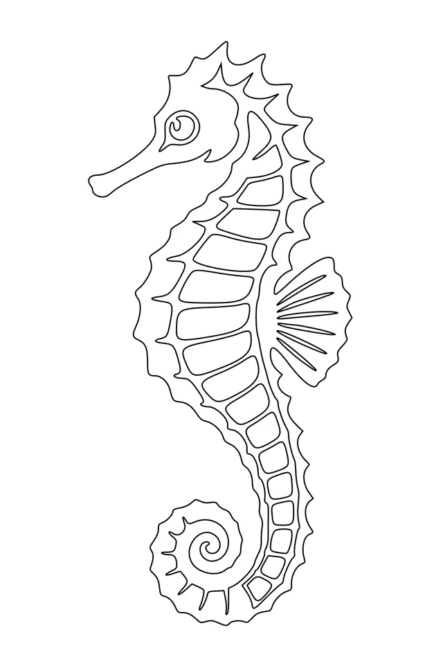 Seahorse Line Art