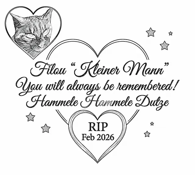 Cat Memorial Heart