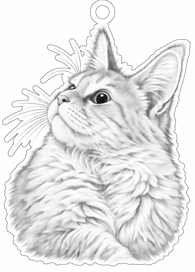 Katzenporträt MainCoon