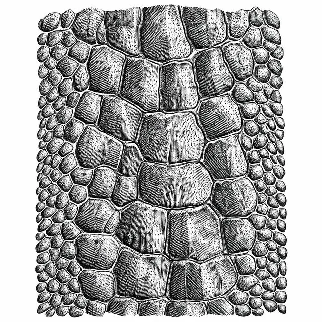 Gator Scale Texture