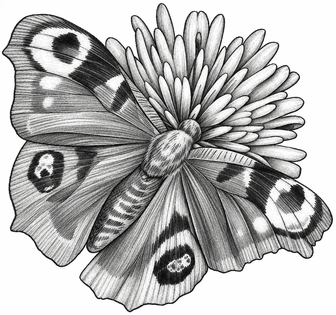 Laser cut and engrave Butterfly And Daisy
