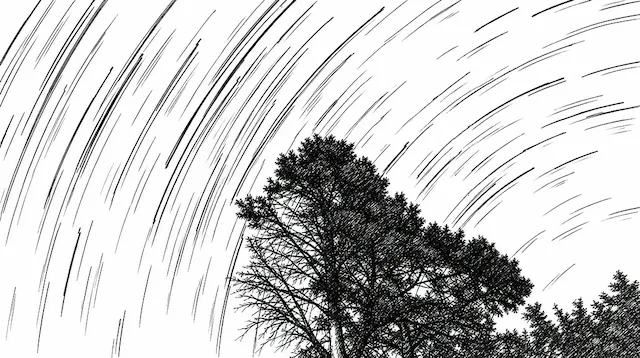 Star trails