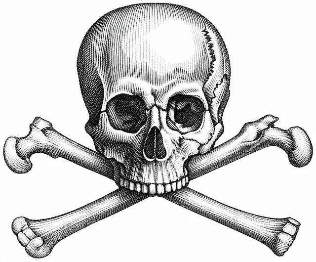 Skull And Crossbones