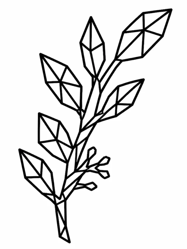 Geometric Leaf Branch
