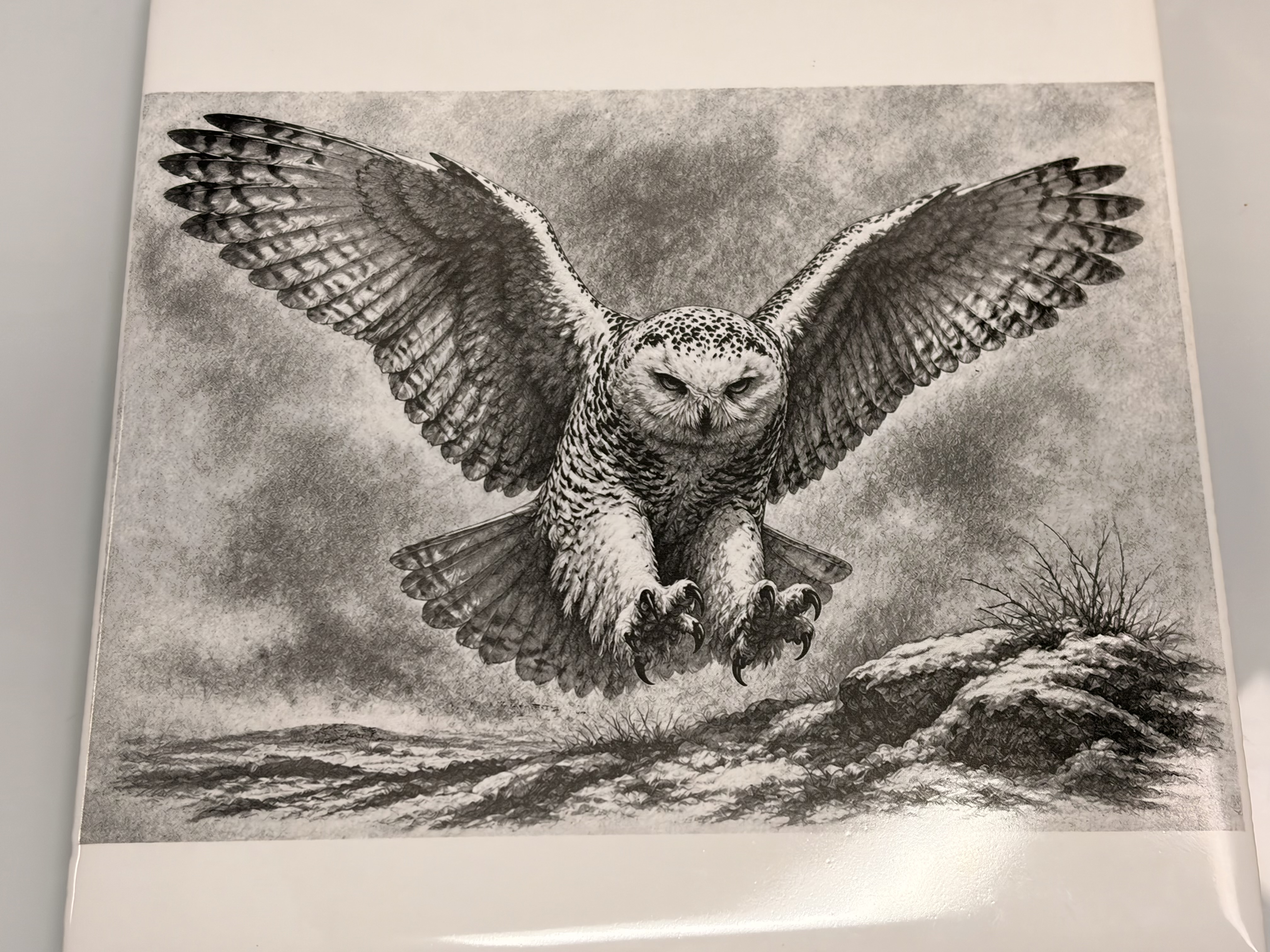 [Laser cut and engrave] Snowy Owl Flying Illustration Ceramic Tile