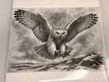 [Laser cut and engrave] Snowy Owl Flying Illustration Ceramic Tile