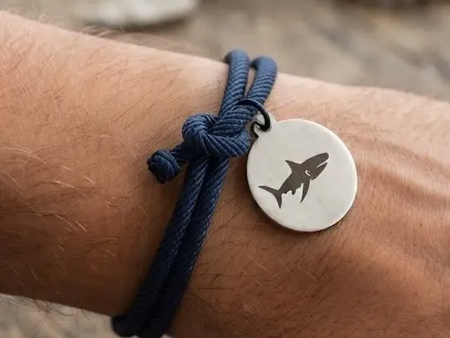 A Shark engraved into Small round Stainless steel