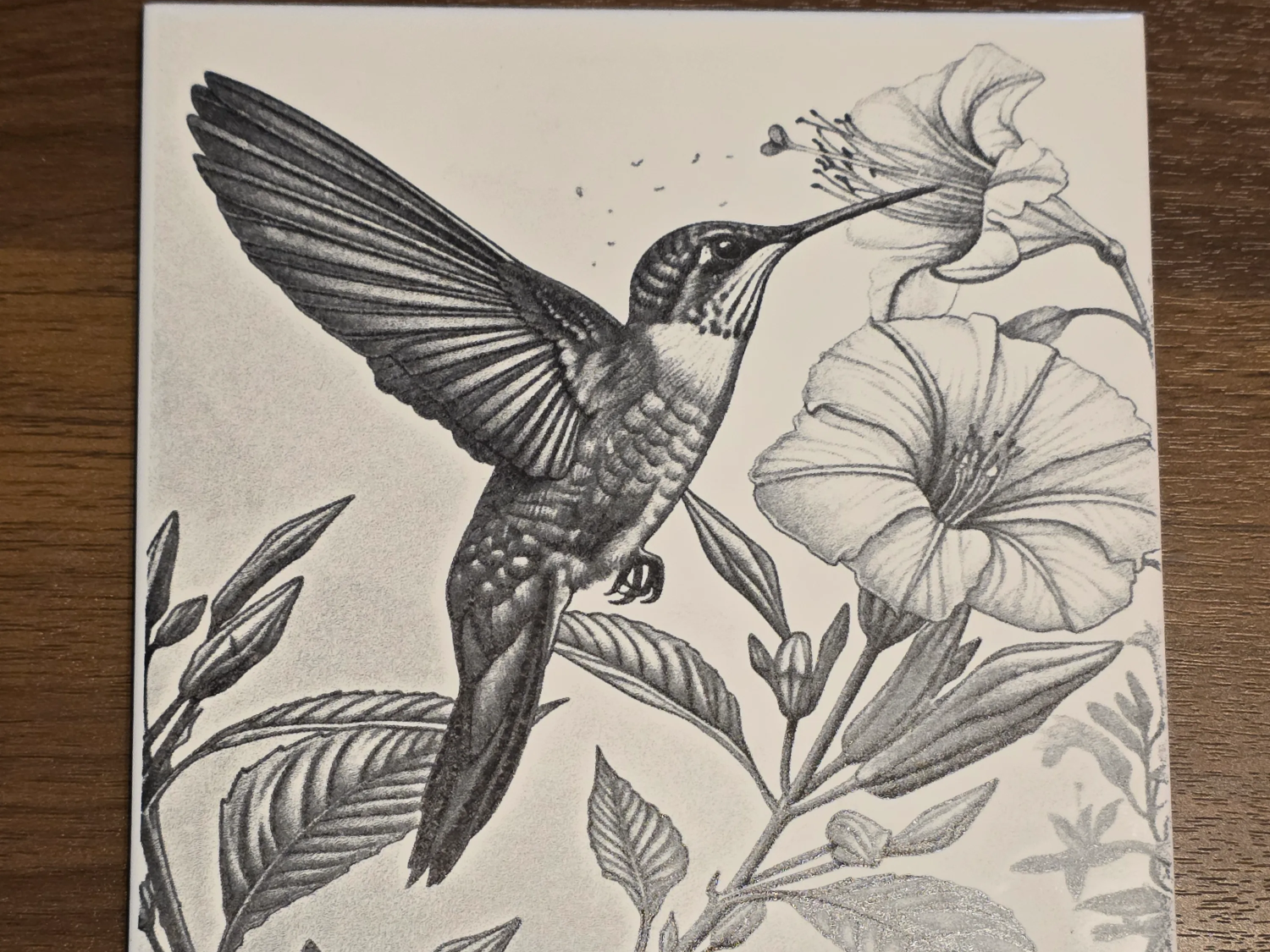 Hummingbird and Flower Graphite Style Illustration on Square Tile