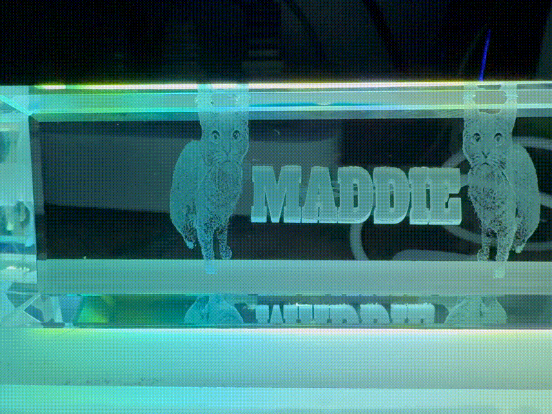 Personalized Crystal Block with Cat Portrait and Maddie Nameplate