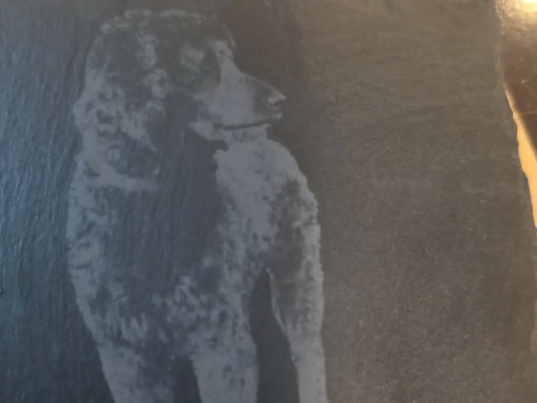 Slates/dogs