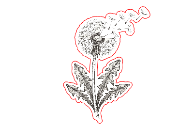 dandelion.xs