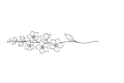 Untitled.xs