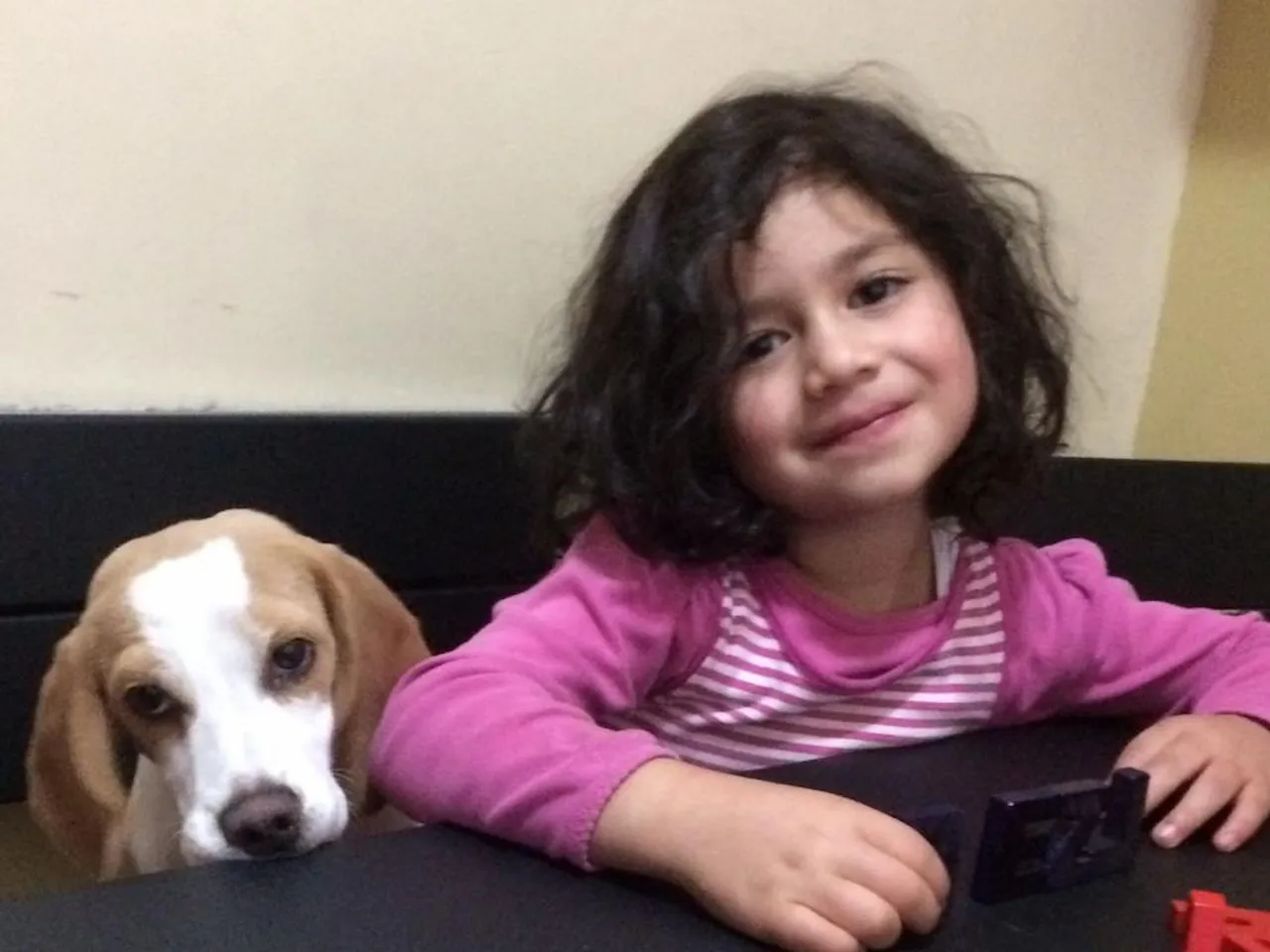 [Laser cut and engrave,Screen printing] Niña sonriente sentada junto a su perro beagle