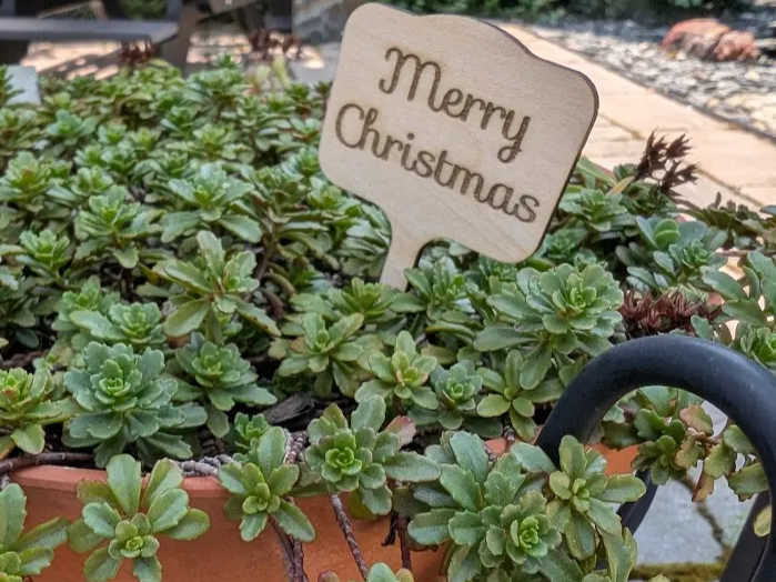 Small Merry Christmas Engraved Wooden Sign free Christmas SVG laser cut design