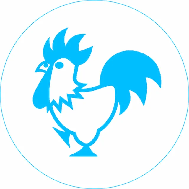 magnet petit coq.xs