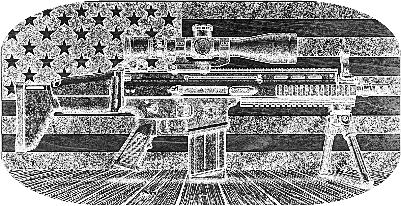 Scar 250.xs