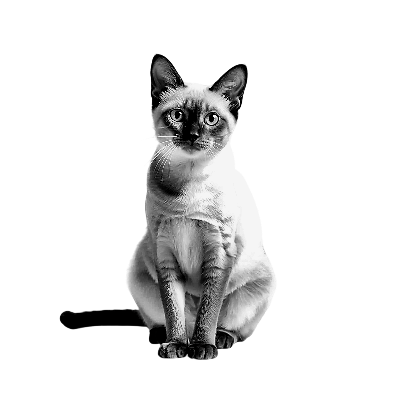 cat_keyring_2.xs