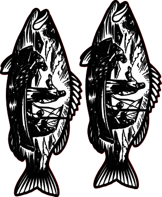 Fish(Legacy Backup).xs