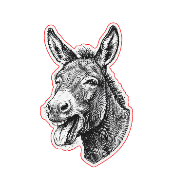 donkey_2.xs
