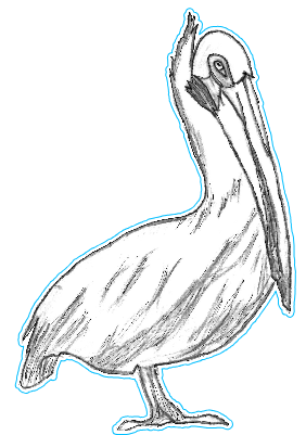 Pelican.xs