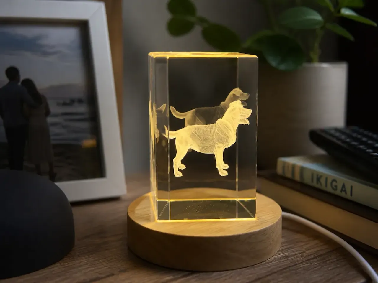 [Laser cut and engrave] Bloque de cristal iluminado con figura de perro en relieve