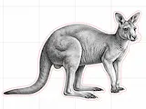 [Laser cut and engrave] Kangaroo Shaped Wooden Wall Art Silhouette