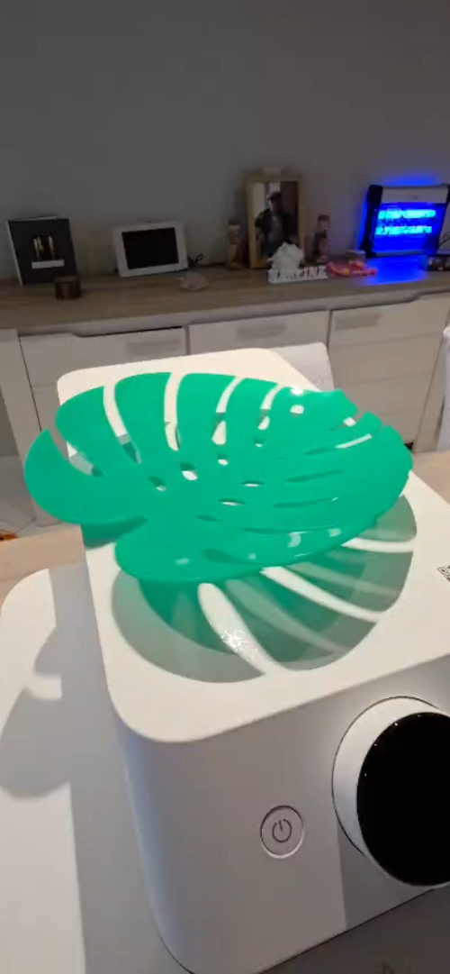 [Laser cut and engrave,Heat Press] Coupe à fruits en forme de feuille de monstera verte