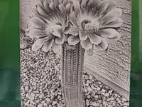 [Laser cut and engrave] Cactus flower halftone photo engraved on black acrylic