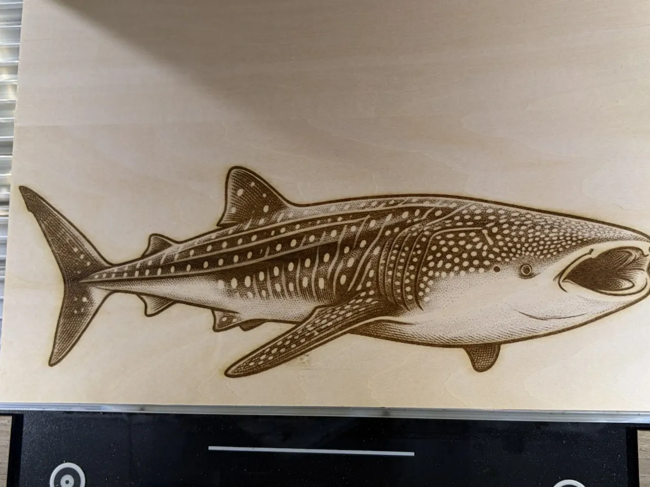 [Laser cut and engrave] Detailed whale shark illustration on wood panel