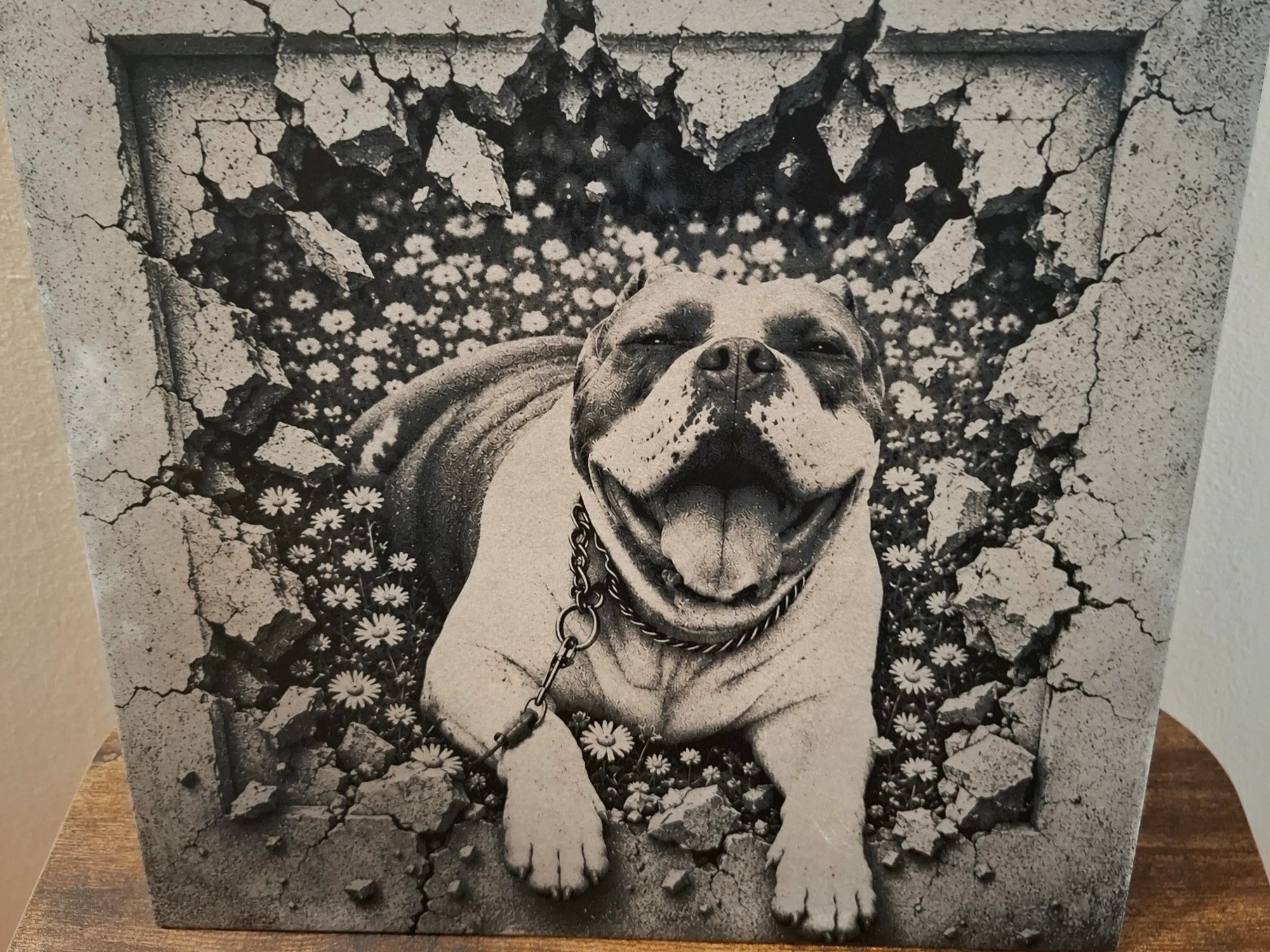 American bully au milieu des marguerites