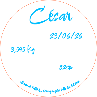 plaque cercle naissance ourson.xs