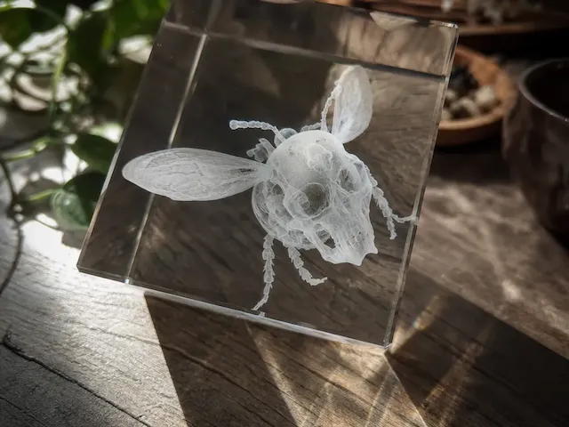 Bloc en verre avec motif de crâne d'abeille