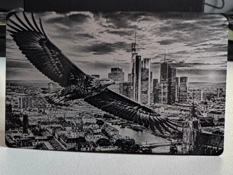 Adler mit Skyline