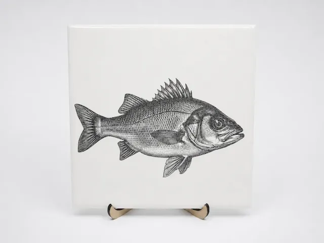 Ceramic Tile Featuring  a Detailed Bass Illustration