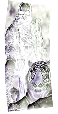 Untitled.xs