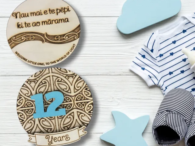 Themed Baby Milestone Discs