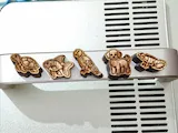 [Laser cut and engrave] Set of Wooden Animal Stamps Featuring Dog, Iguana, Parrot, Turtle, and Fish