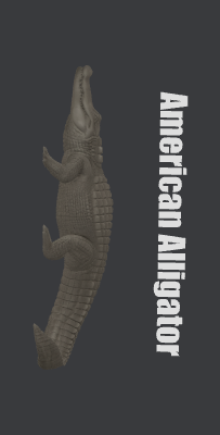 gator.xs