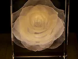 [Laser cut and engrave] Rose Floral Motif Inside Rectangular Glass Block