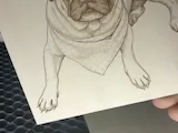 [Laser cut and engrave] Pug dog wearing a pink polka dot bandana