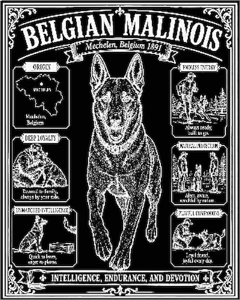 Family Dog.xs