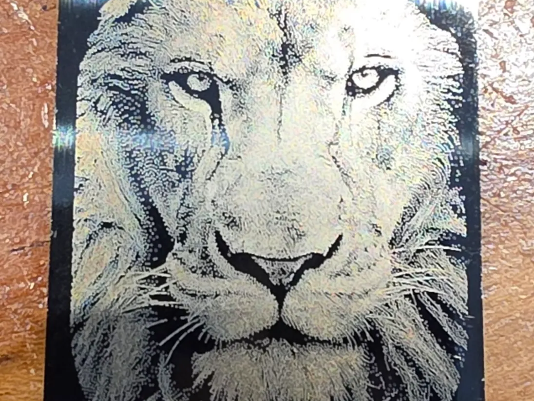 dogtag lion head